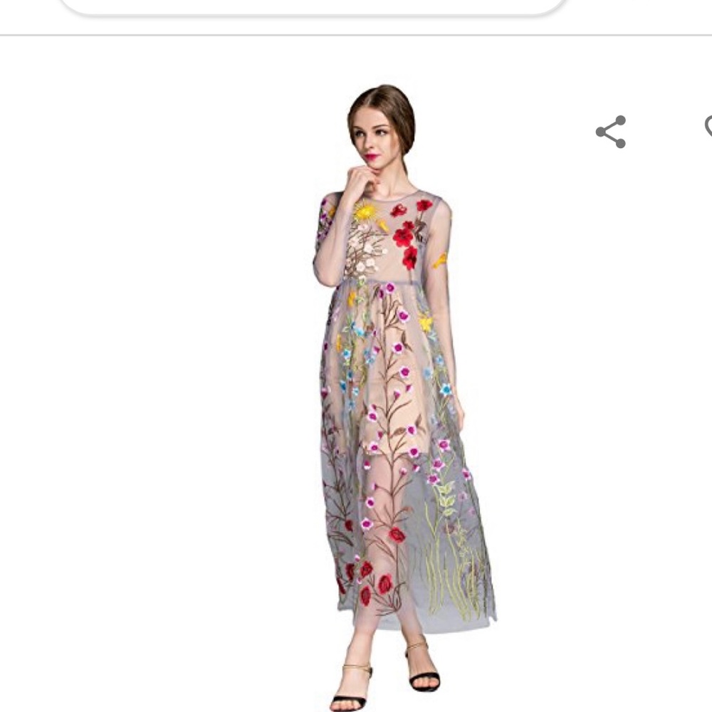 Sheer embroidered dress. NWT